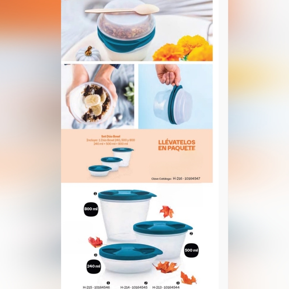 Tupperware Duo Interlocking Bowl Set